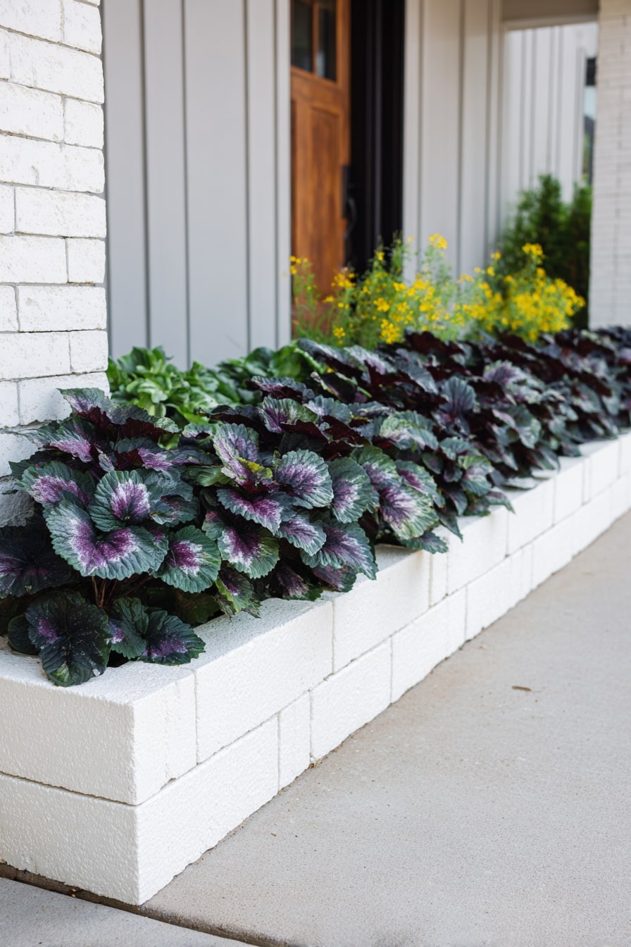 6) Contemporary Coleus Border with Stone Edging
