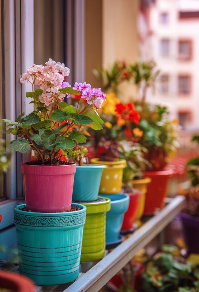 Color Pop Windowsill Garden