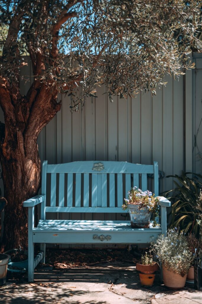 Charming Blue Bench Under the Olive Tree