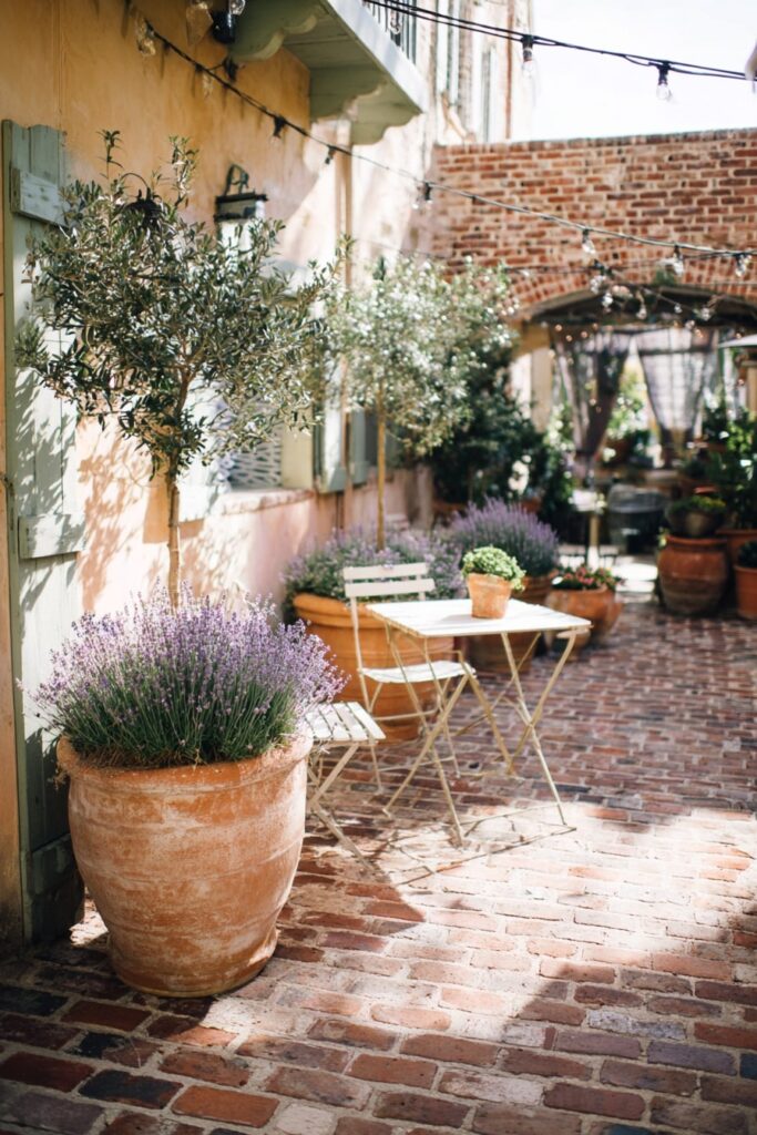 5. Lavender Courtyard with Bistro Charm