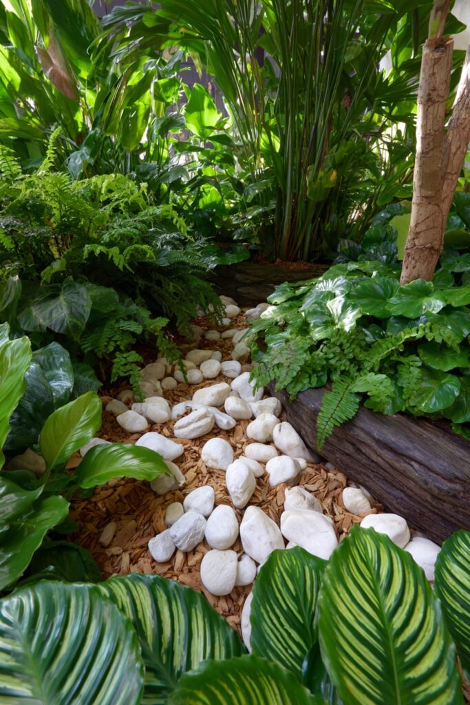 16. Tropical Border with Bark Mulch and Smooth White Stones