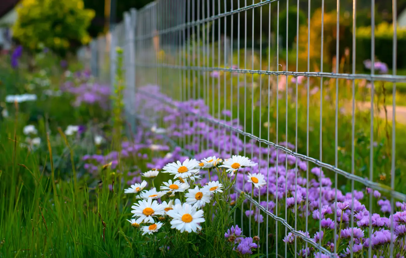 Simple Wire Fence with Wildflower Charm