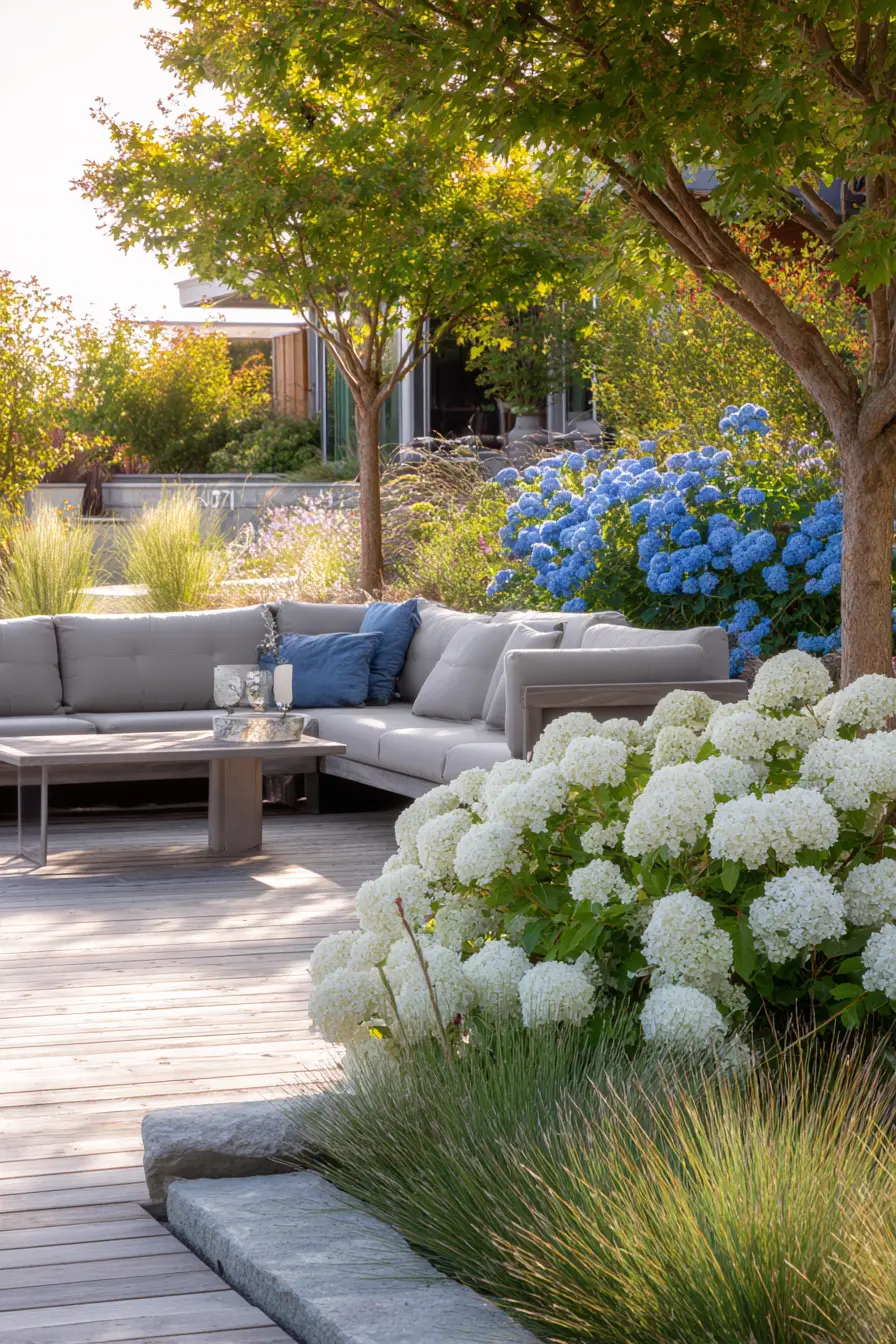 Hydrangea – A Classic Shrub with Lasting Impact