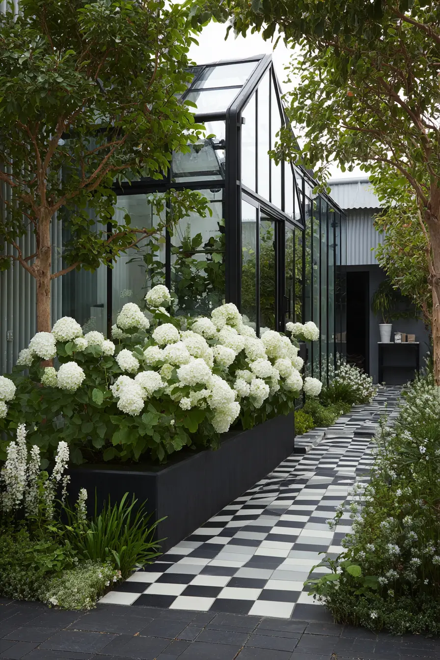 Black and White Garden Path with Blooming Hydrangeas