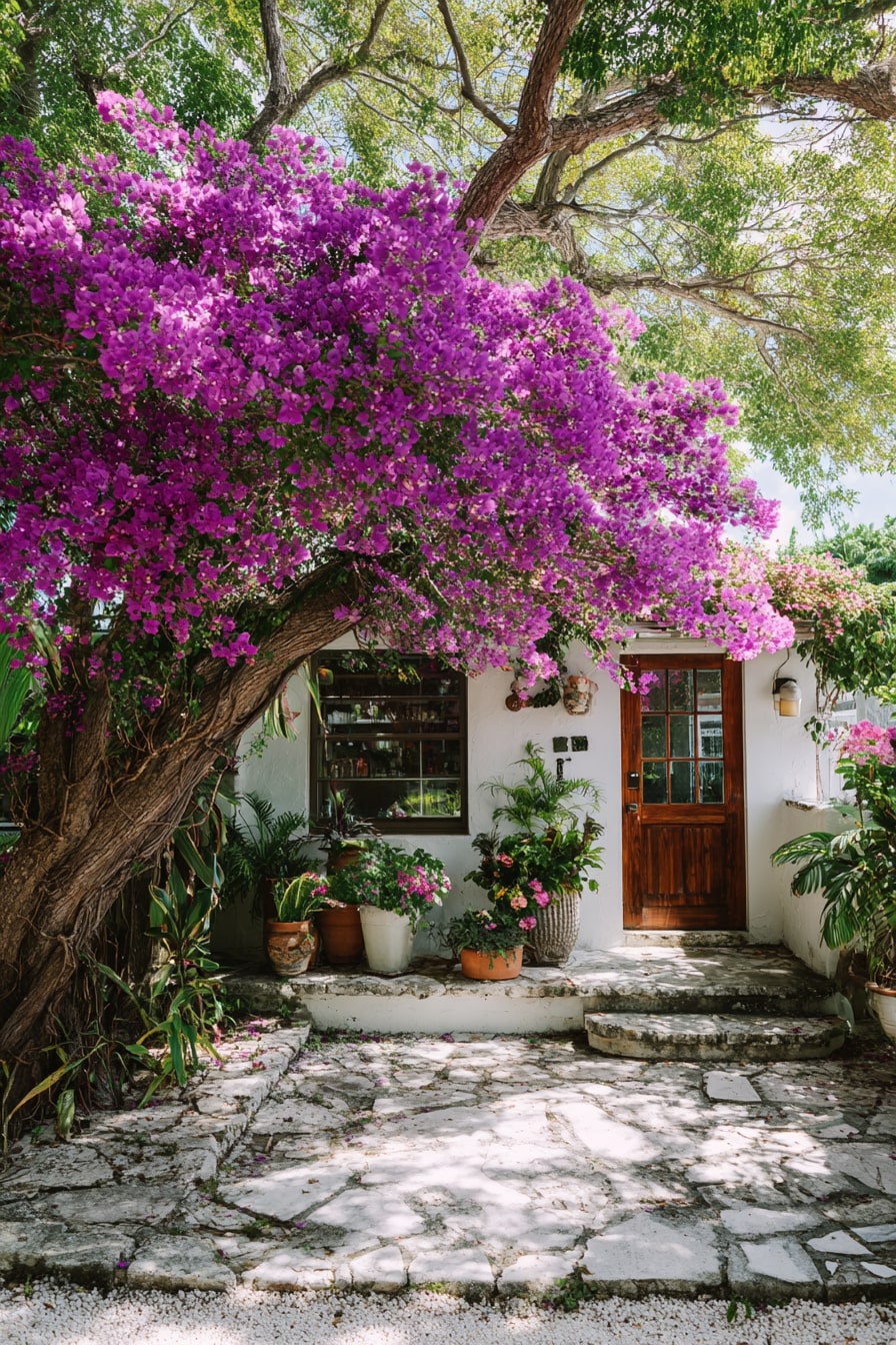 Bougainvillea Arch Framing a Welcoming Entrance