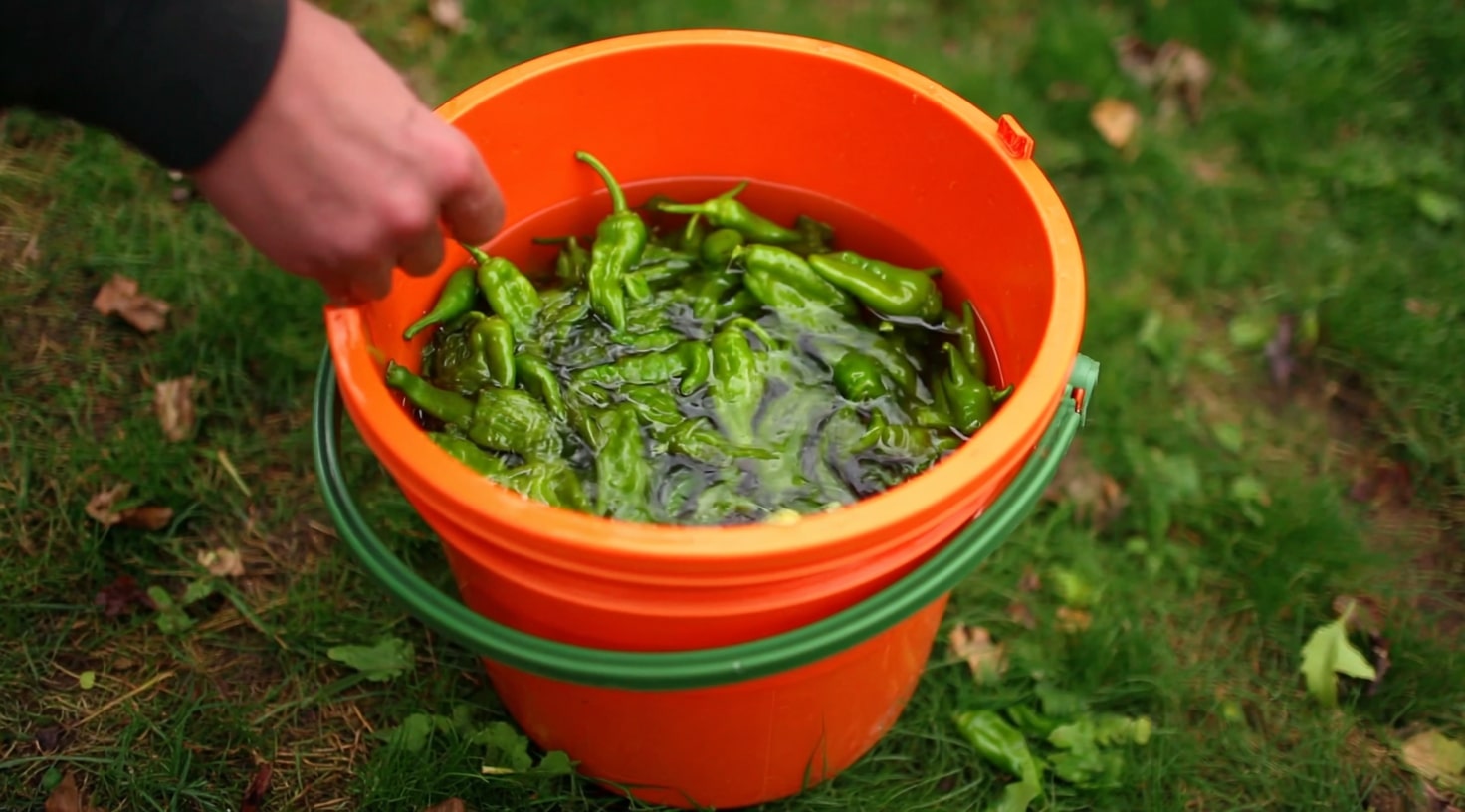 Laundry Basket for Garden Harvest Washing