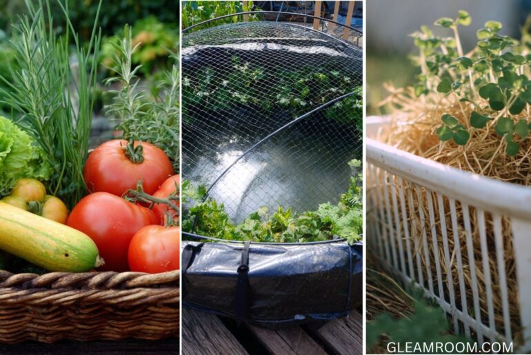 11 Creative Ways To Use A Laundry Basket Around Your Garden