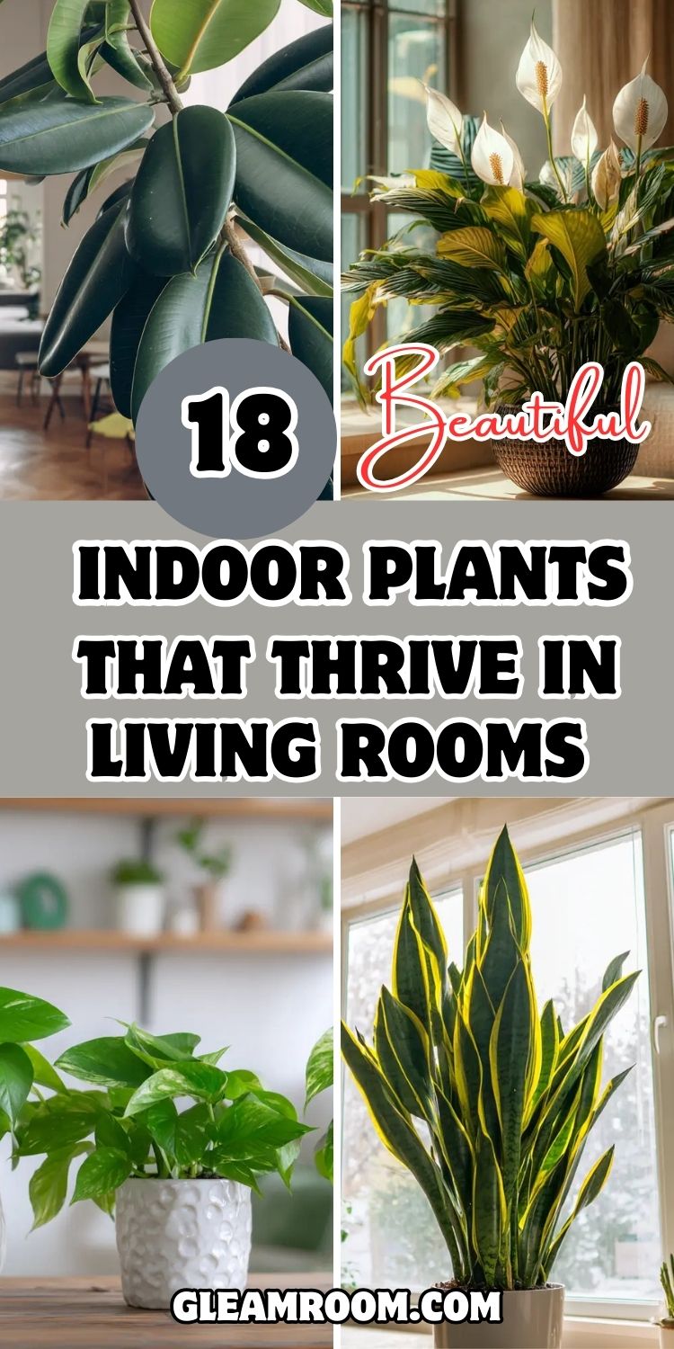 18 Beautiful Indoor Plants That Thrive in Living Rooms