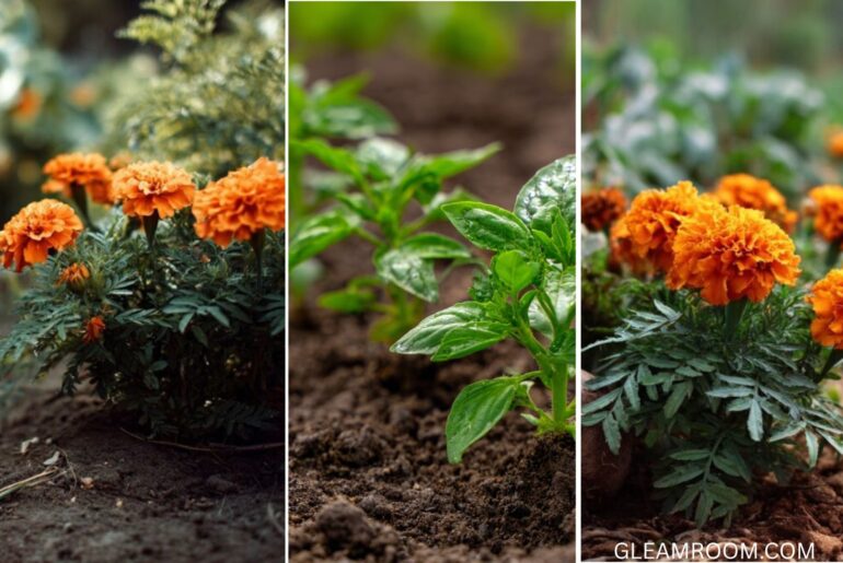 Companion Planting 101 Easy Tips for Gardening Success