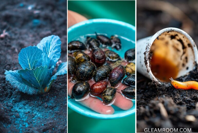 How To Fight Back Against Slugs