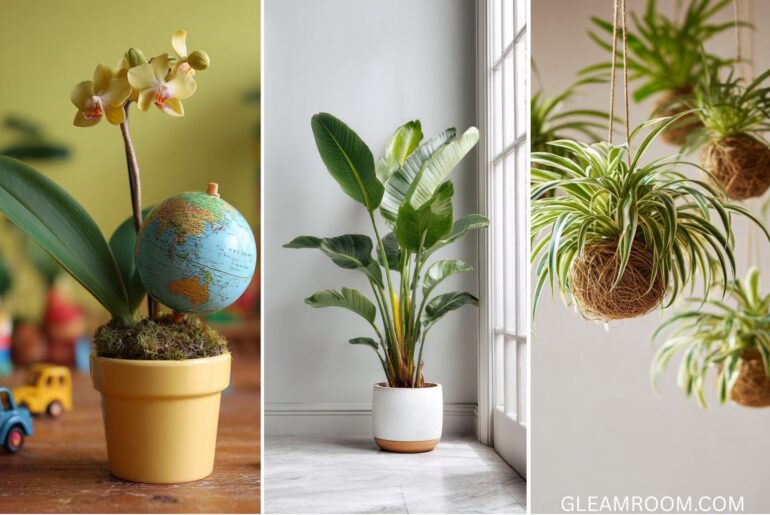 How to Grow and Care for Spider Plant