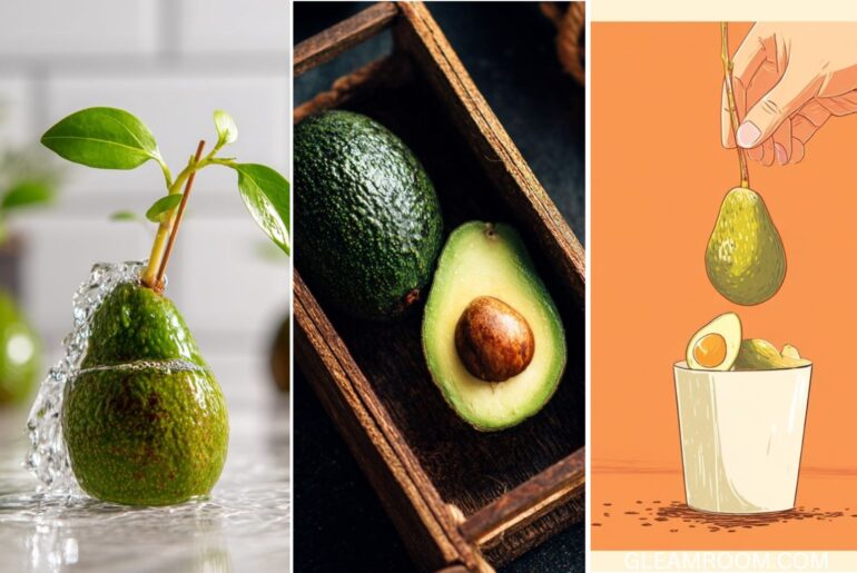 How to grow an avocado at home the best trick for germinating and growing a pit like an expert