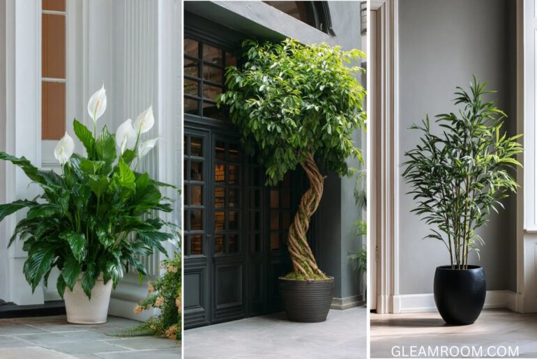 The 15 Best Front Door Plants for Good Feng Shui